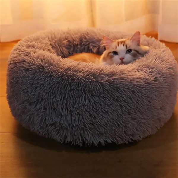 がるちゃん猫カフェ76号店開店しました♪(初めての方も大歓迎♪)