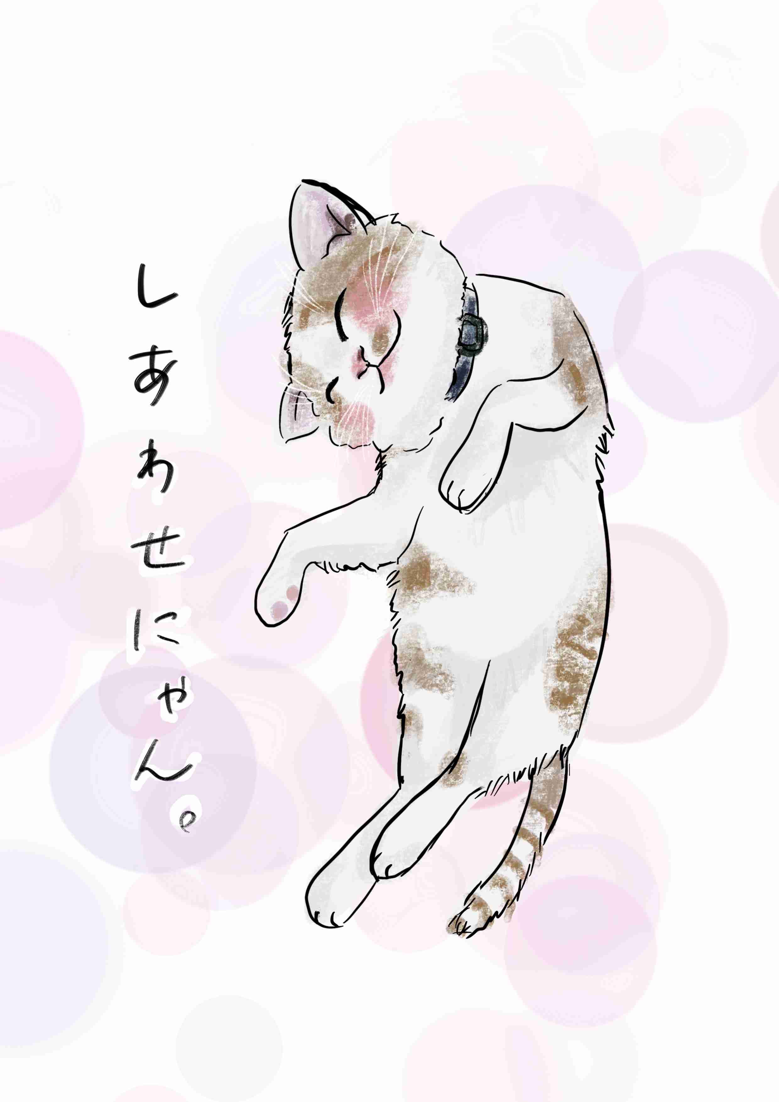 がるちゃん猫カフェ76号店開店しました♪(初めての方も大歓迎♪)