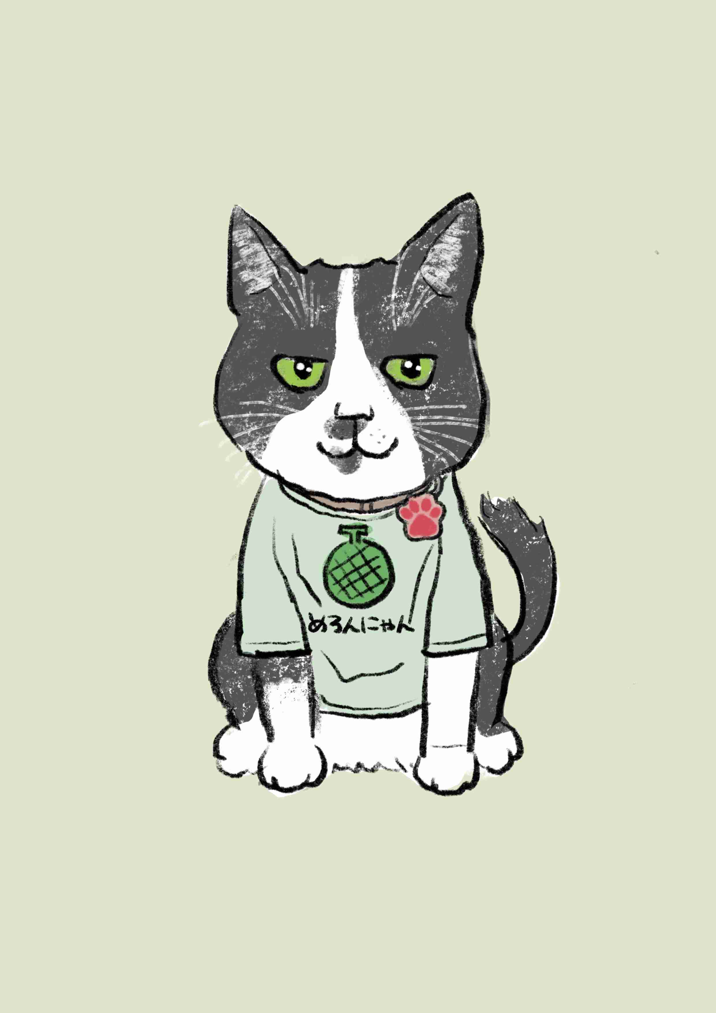 がるちゃん猫カフェ76号店開店しました♪(初めての方も大歓迎♪)