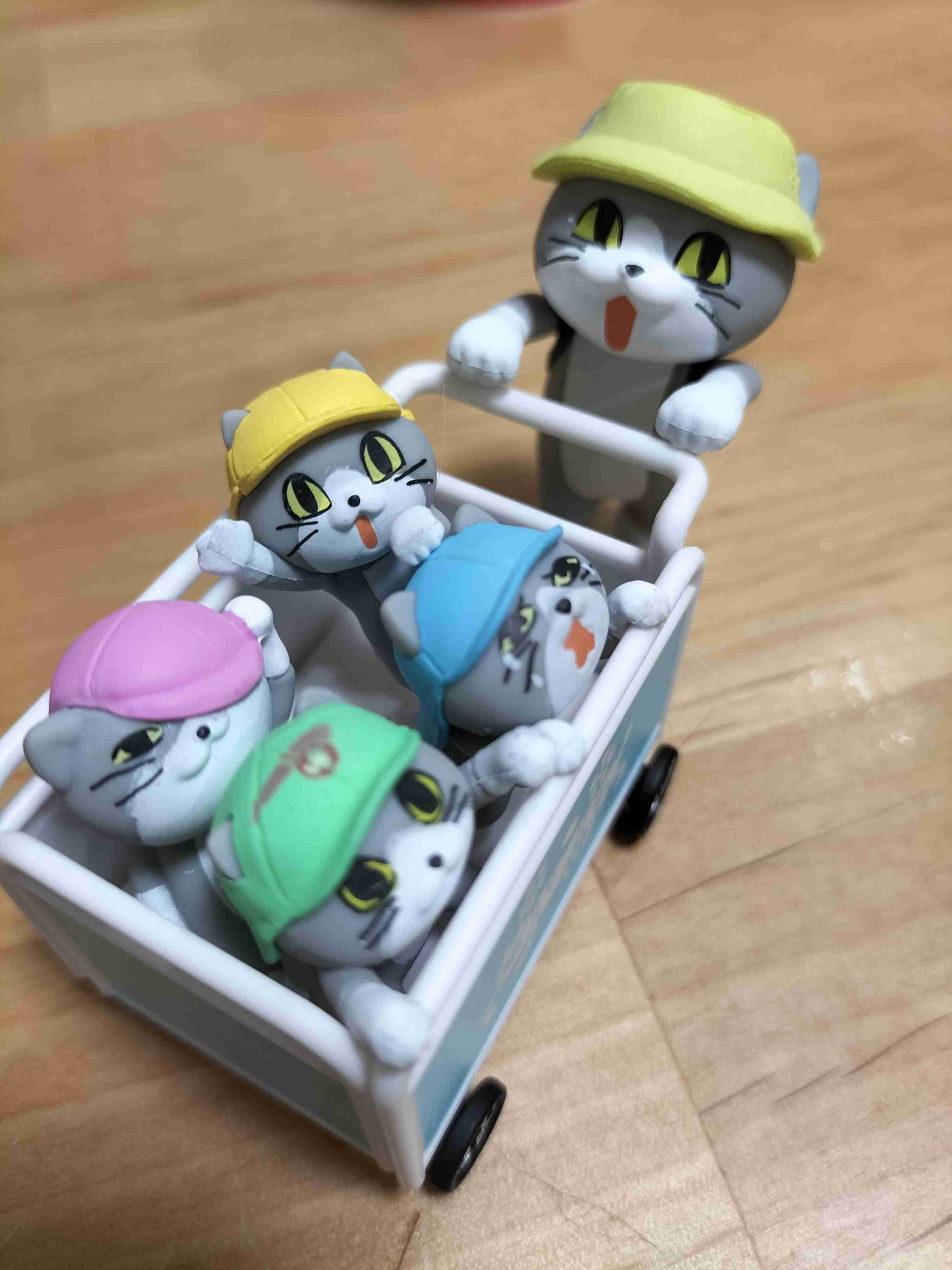 がるちゃん猫カフェ76号店開店しました♪(初めての方も大歓迎♪)