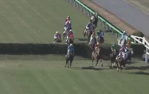 新規のジャニーズファンが不思議に思うこと