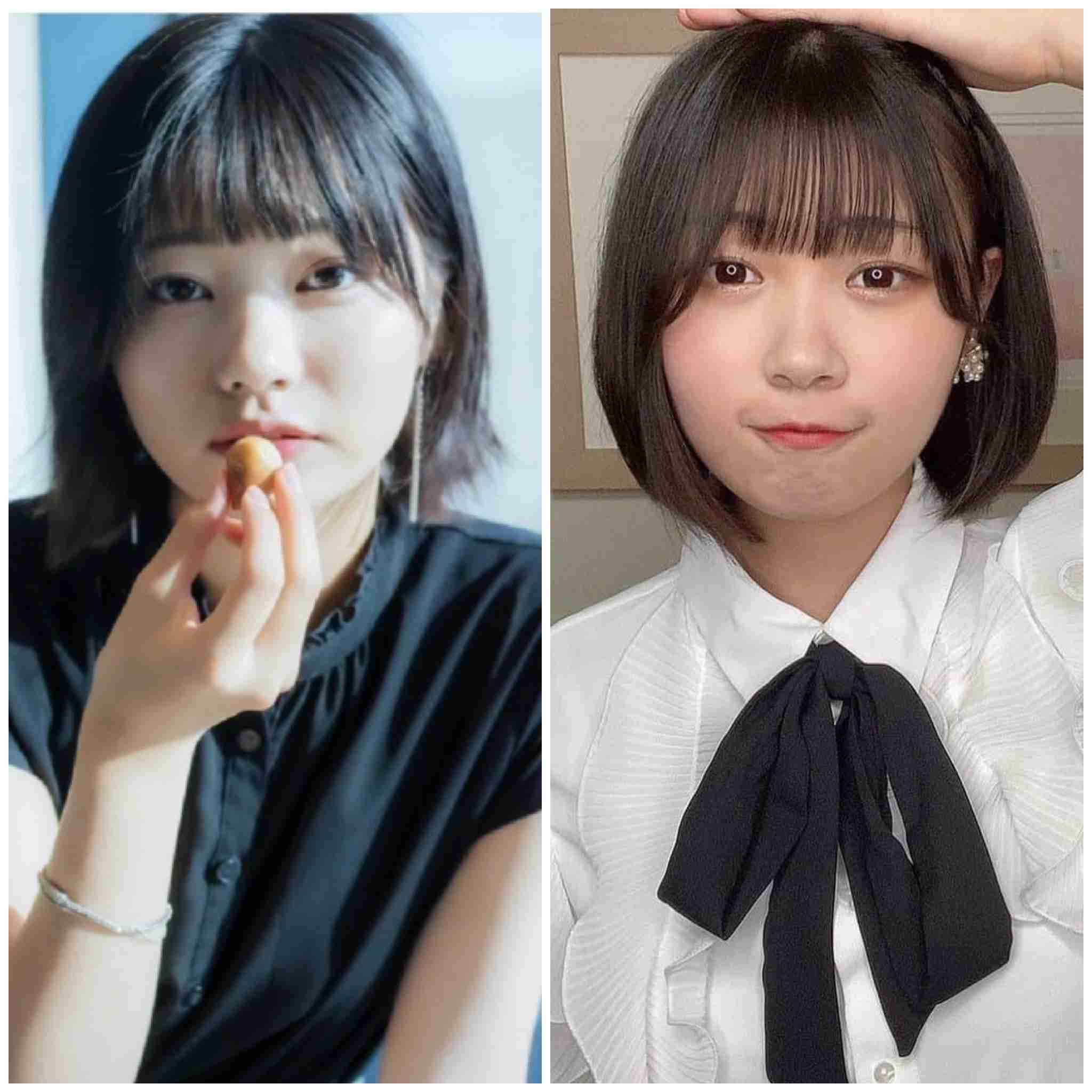乃木坂46山崎怜奈、7・17卒業を発表「わがままを許してほしいです」声を詰まらせる場面も