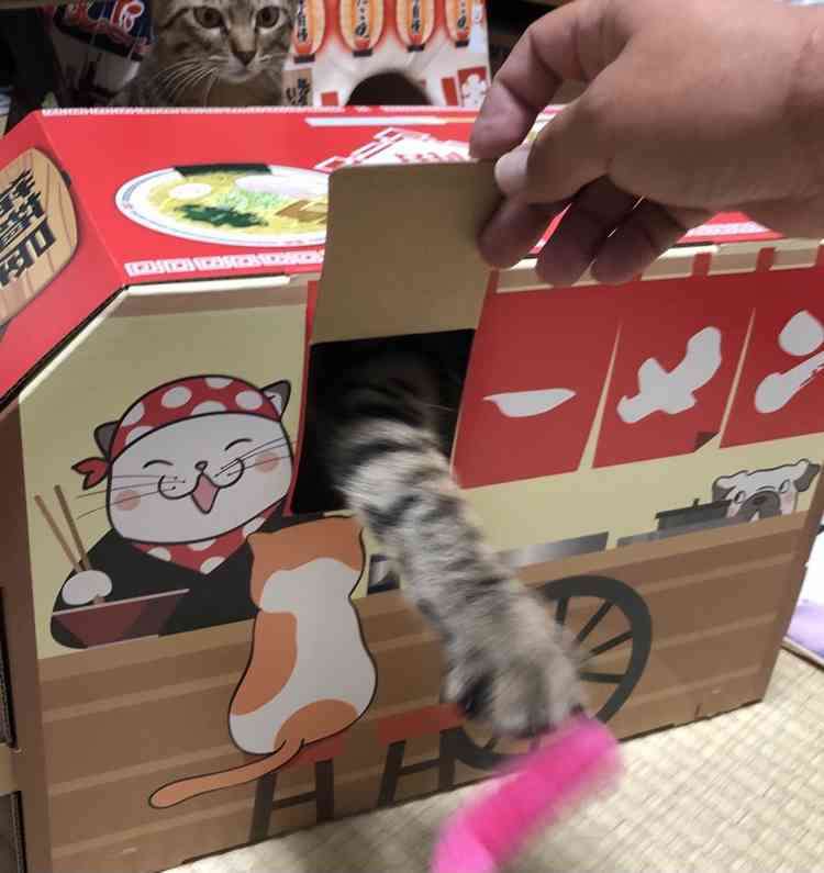 ペットのお手手があつまるトピ