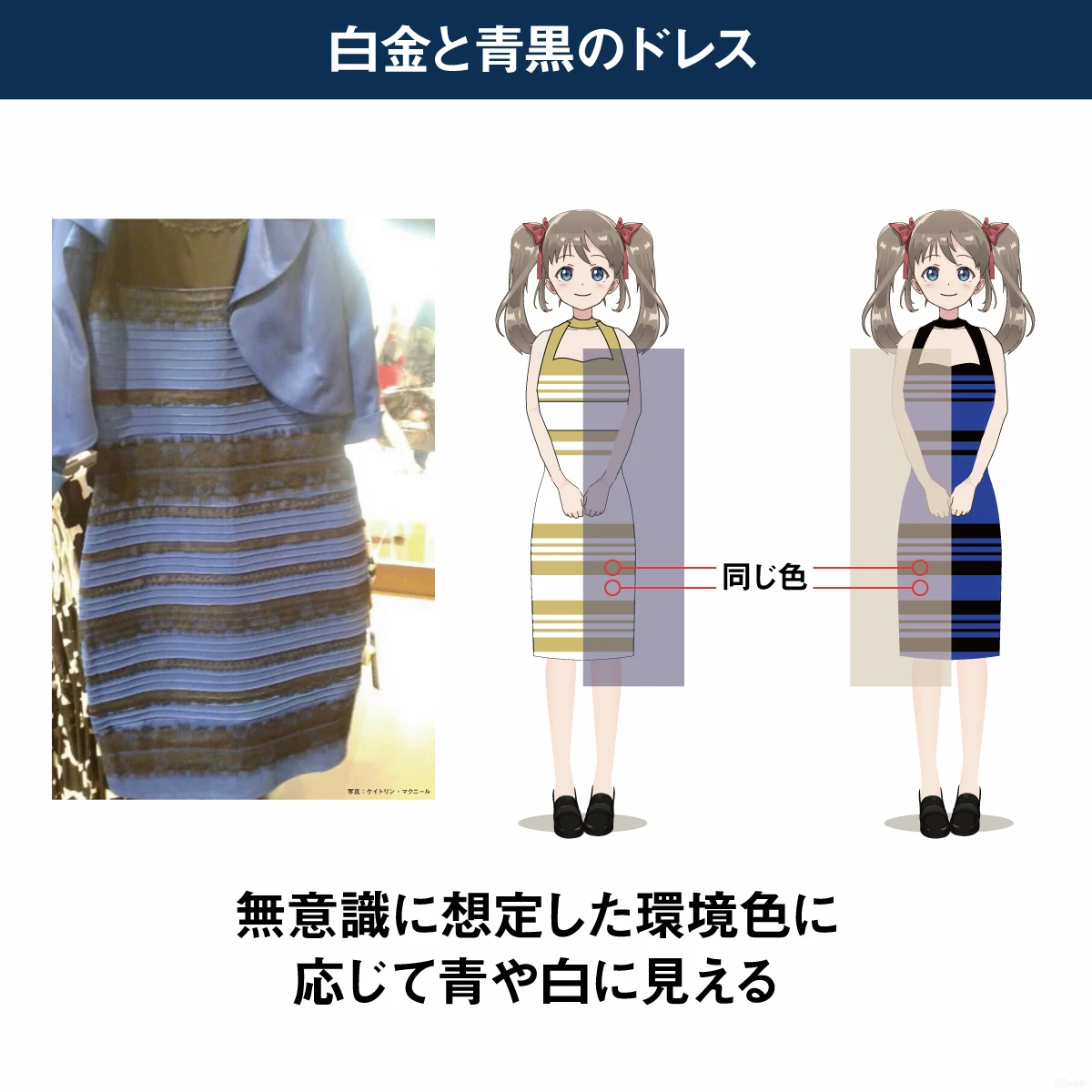 「どっちかわからん」「色覚異常の人だと識別できないのでは」　オシャレ特化トイレの性別表記ツイートに「怖い」の声多数