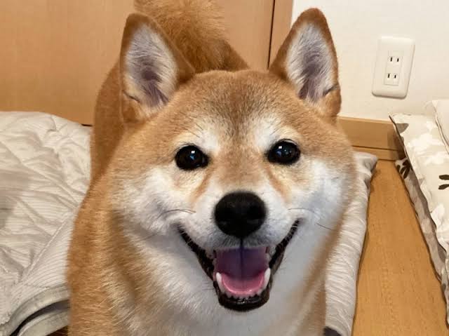 末広型二重のアイメイク
