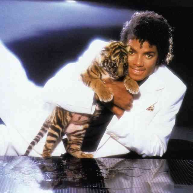 【没後13年】マイケル・ジャクソンを語ろう！