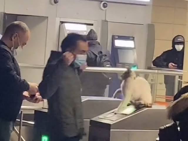 改札機に土足で乗り...飛び降りて笑い声　迷惑行為の動画拡散、JR東も確認「お止めいただきたい」