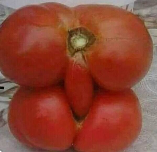 純粋な人には“何でもない普通の画像”に見えるものを貼っていくトピ