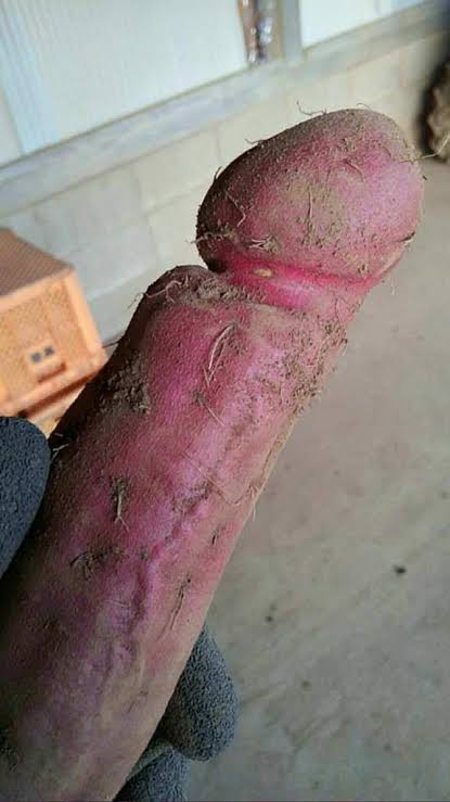 純粋な人には“何でもない普通の画像”に見えるものを貼っていくトピ