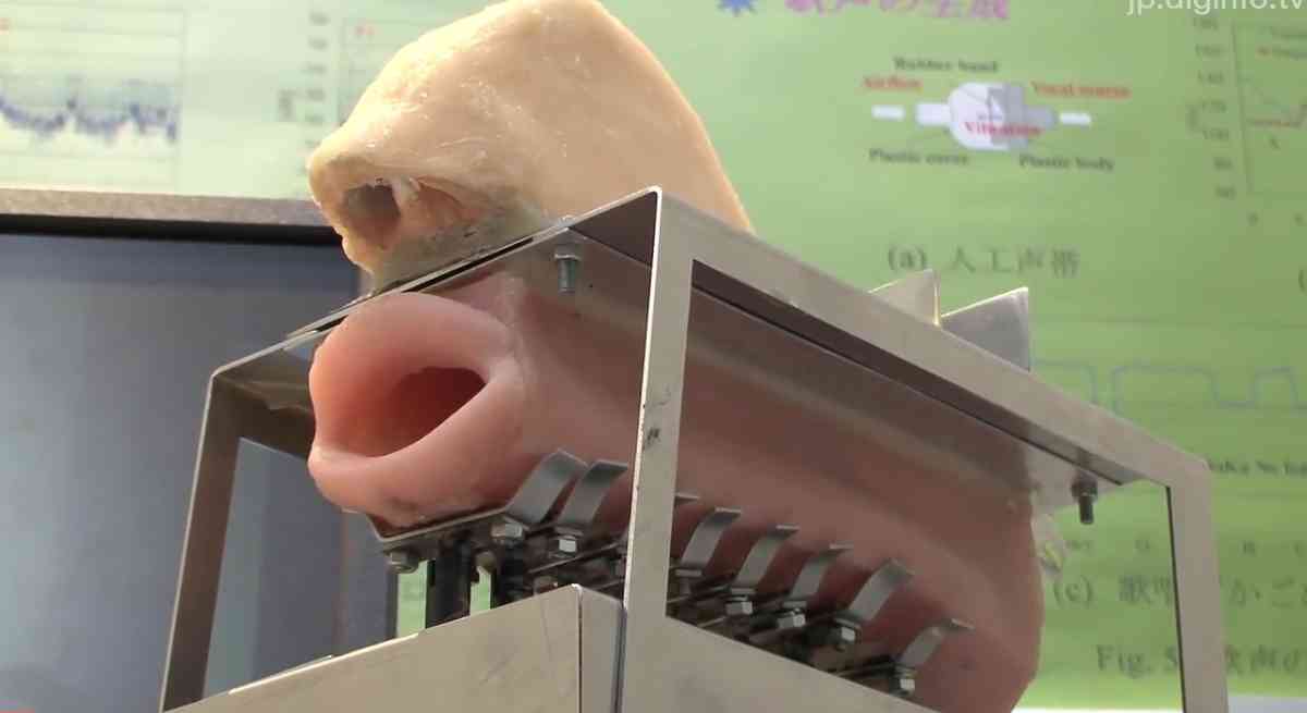 純粋な人には“何でもない普通の画像”に見えるものを貼っていくトピ