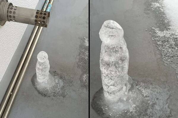 純粋な人には“何でもない普通の画像”に見えるものを貼っていくトピ