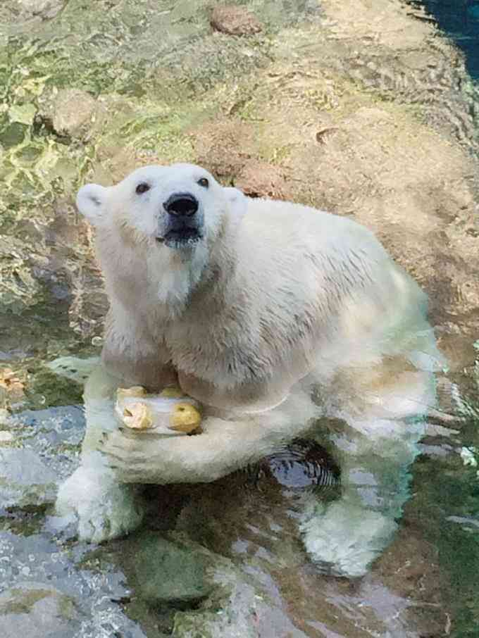 純粋な人には“何でもない普通の画像”に見えるものを貼っていくトピ