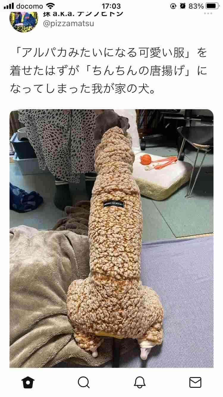 純粋な人には“何でもない普通の画像”に見えるものを貼っていくトピ