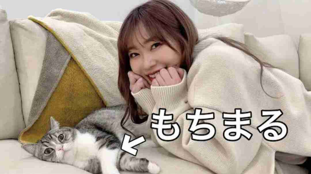 「デカすぎる」「コラ画像みたい笑」　指原莉乃、新しい家族を報告...先住猫との比較に「衝撃受けてます」