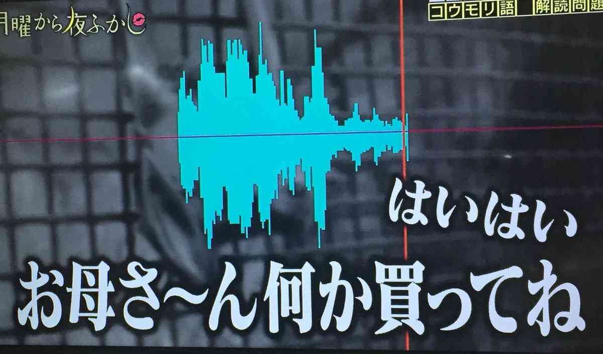 人間とペットによる会話 実現が近い!? AIを駆使してコウモリの鳴き声を翻訳 イスラエルで新研究