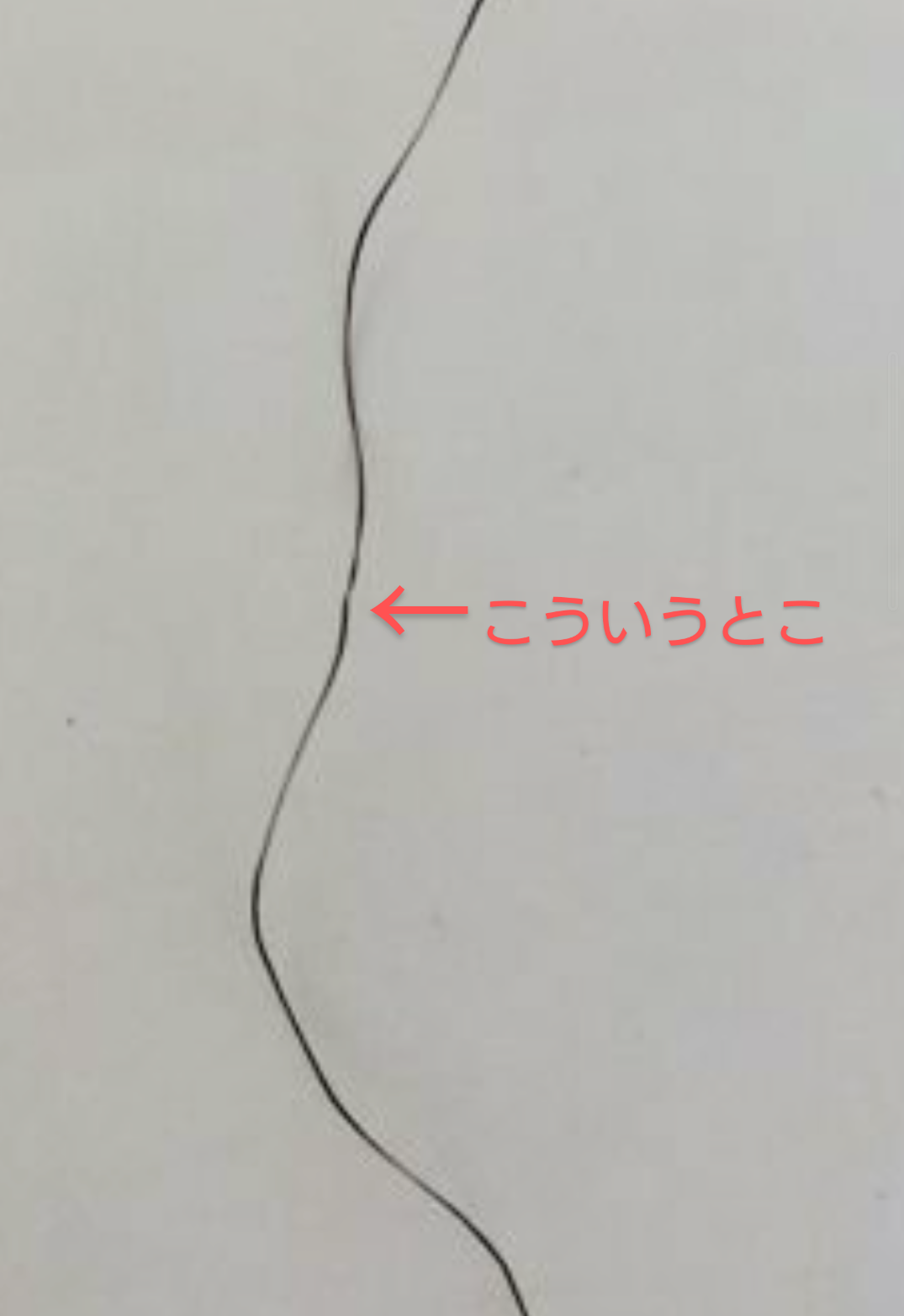 原因不明の切れ毛(アホ毛…)