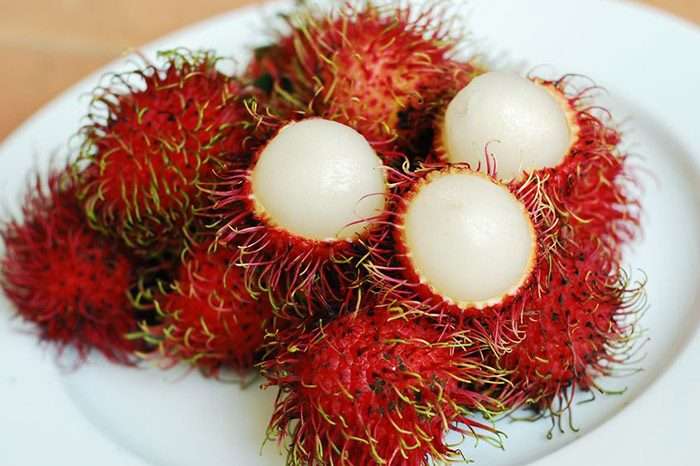 好きな海外の果物