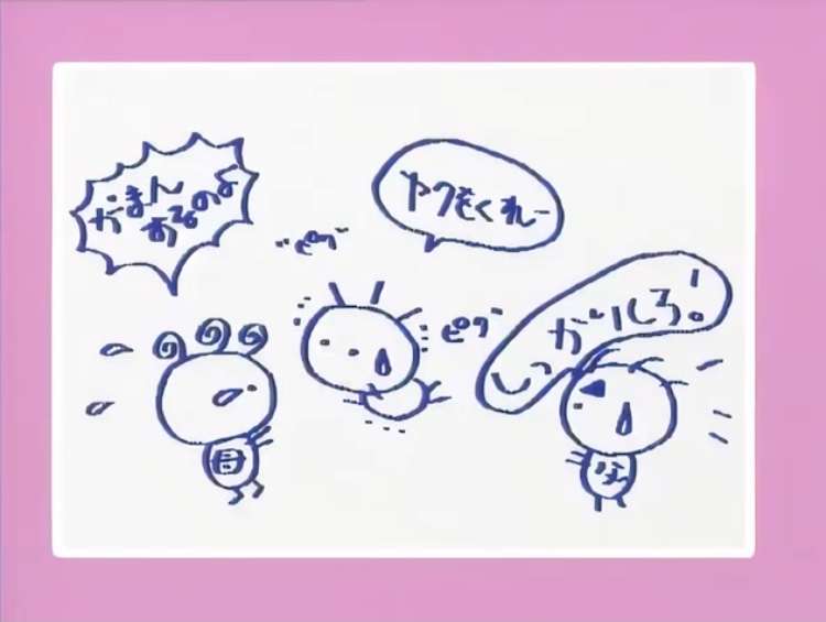 酒井法子 33年ぶりラジオ番組レギュラー「出演させていただいて本当にありがたいです」