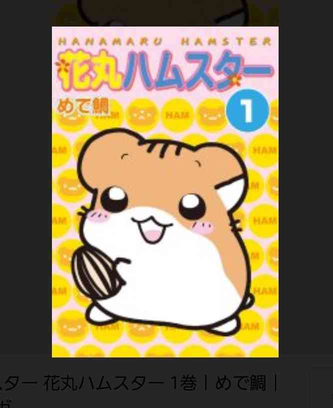 ハムスターが好きすぎる