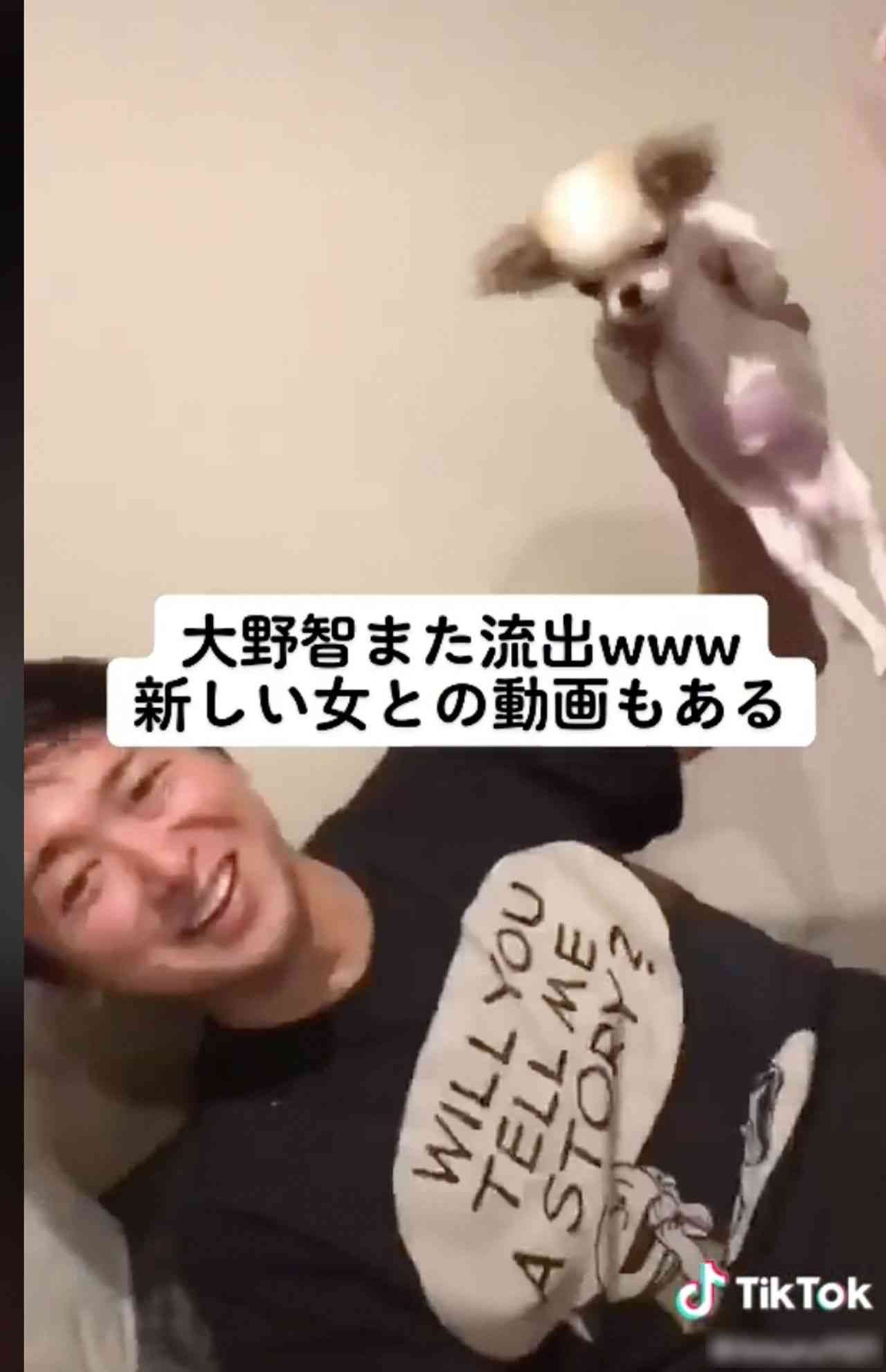 犬猫のマイクロチップ装着、義務化に「賛成」7割超 3割が「迷子」経験も