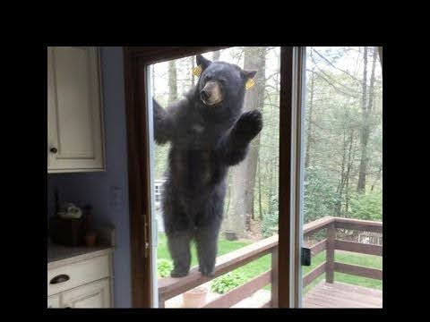 スギちゃん口調で喋ろうぜぇ～！【part72】