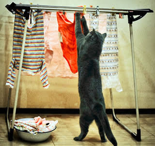 スギちゃん口調で喋ろうぜぇ～！【part72】