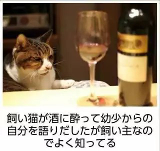 スギちゃん口調で喋ろうぜぇ～！【part72】