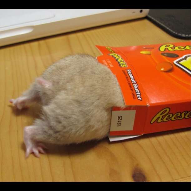 スギちゃん口調で喋ろうぜぇ～！【part72】