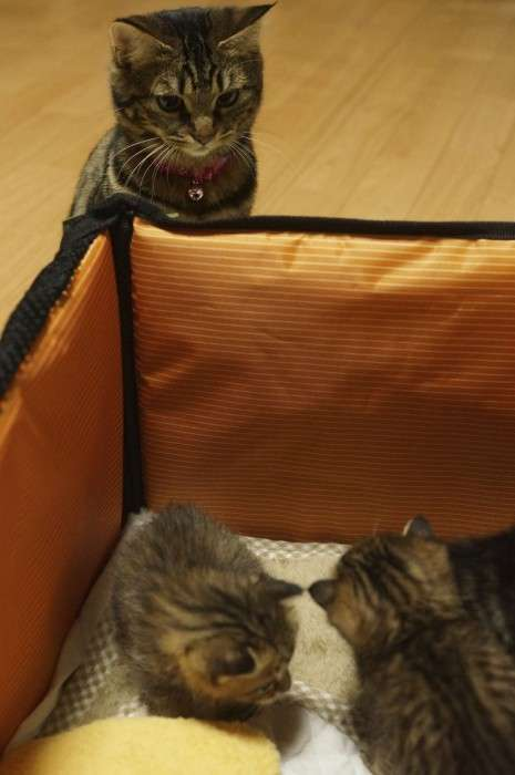 スギちゃん口調で喋ろうぜぇ～！【part72】