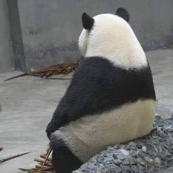 スギちゃん口調で喋ろうぜぇ～！【part72】