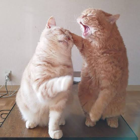 スギちゃん口調で喋ろうぜぇ～！【part72】