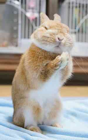 スギちゃん口調で喋ろうぜぇ～！【part72】