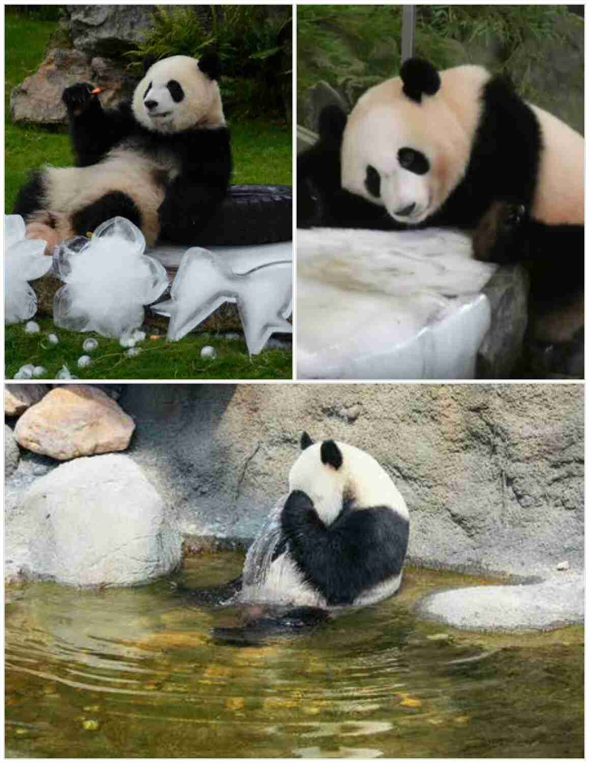 スギちゃん口調で喋ろうぜぇ～！【part72】