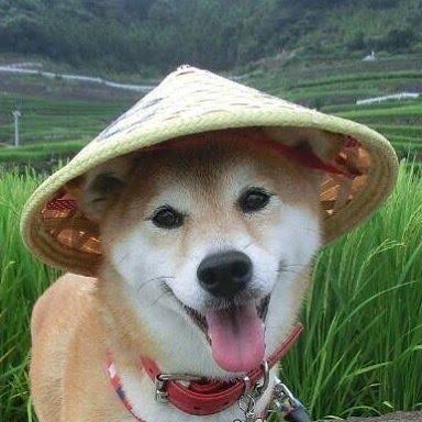 スギちゃん口調で喋ろうぜぇ～！【part72】