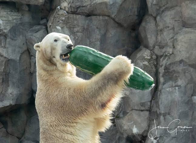 スギちゃん口調で喋ろうぜぇ～！【part72】