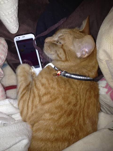 スギちゃん口調で喋ろうぜぇ～！【part72】