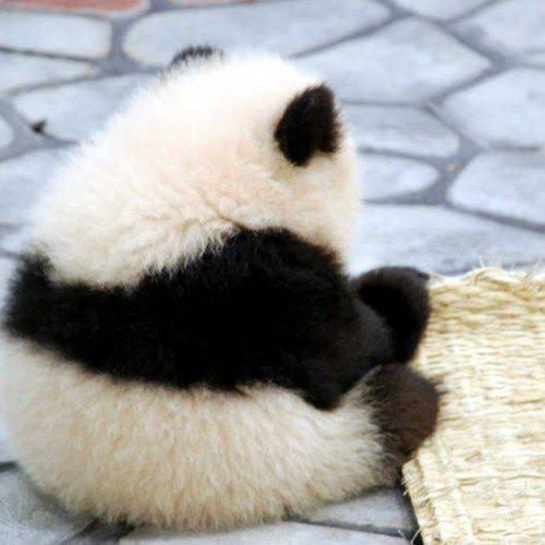 スギちゃん口調で喋ろうぜぇ～！【part72】