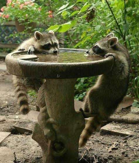 スギちゃん口調で喋ろうぜぇ～！【part72】