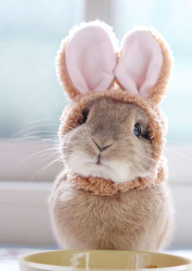 スギちゃん口調で喋ろうぜぇ～！【part72】