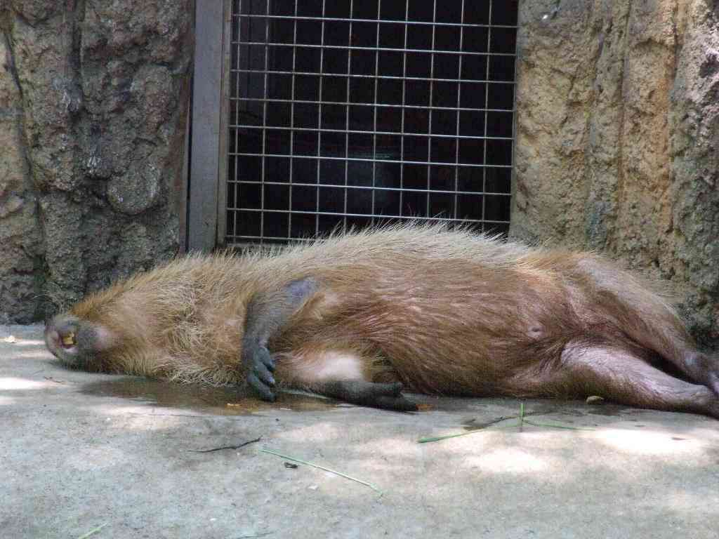 スギちゃん口調で喋ろうぜぇ～！【part72】