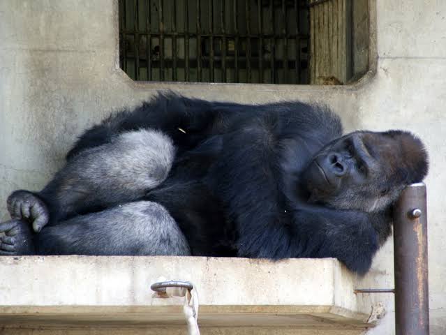 スギちゃん口調で喋ろうぜぇ～！【part72】