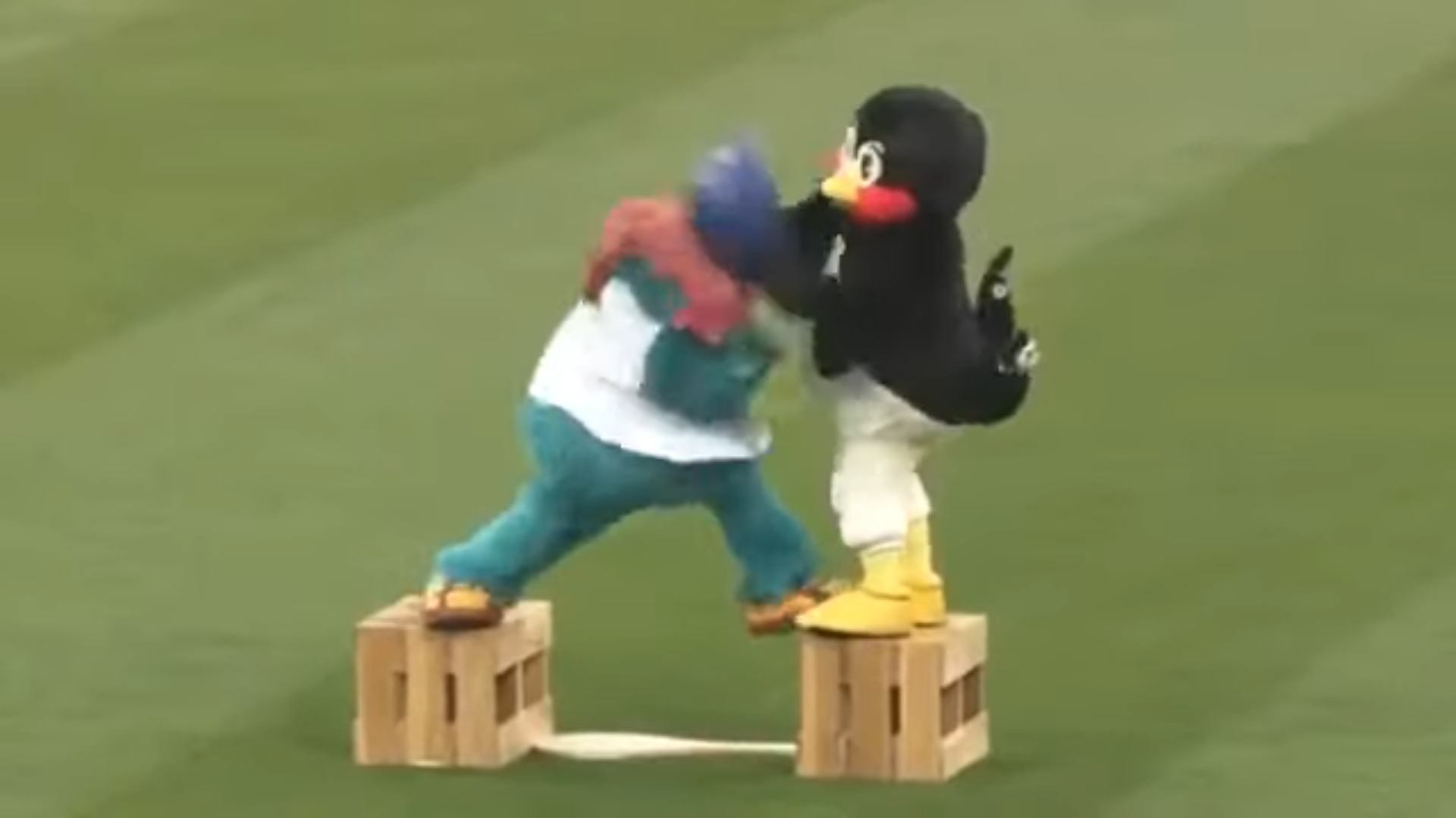 つば九郎が好きな人〜！Part2