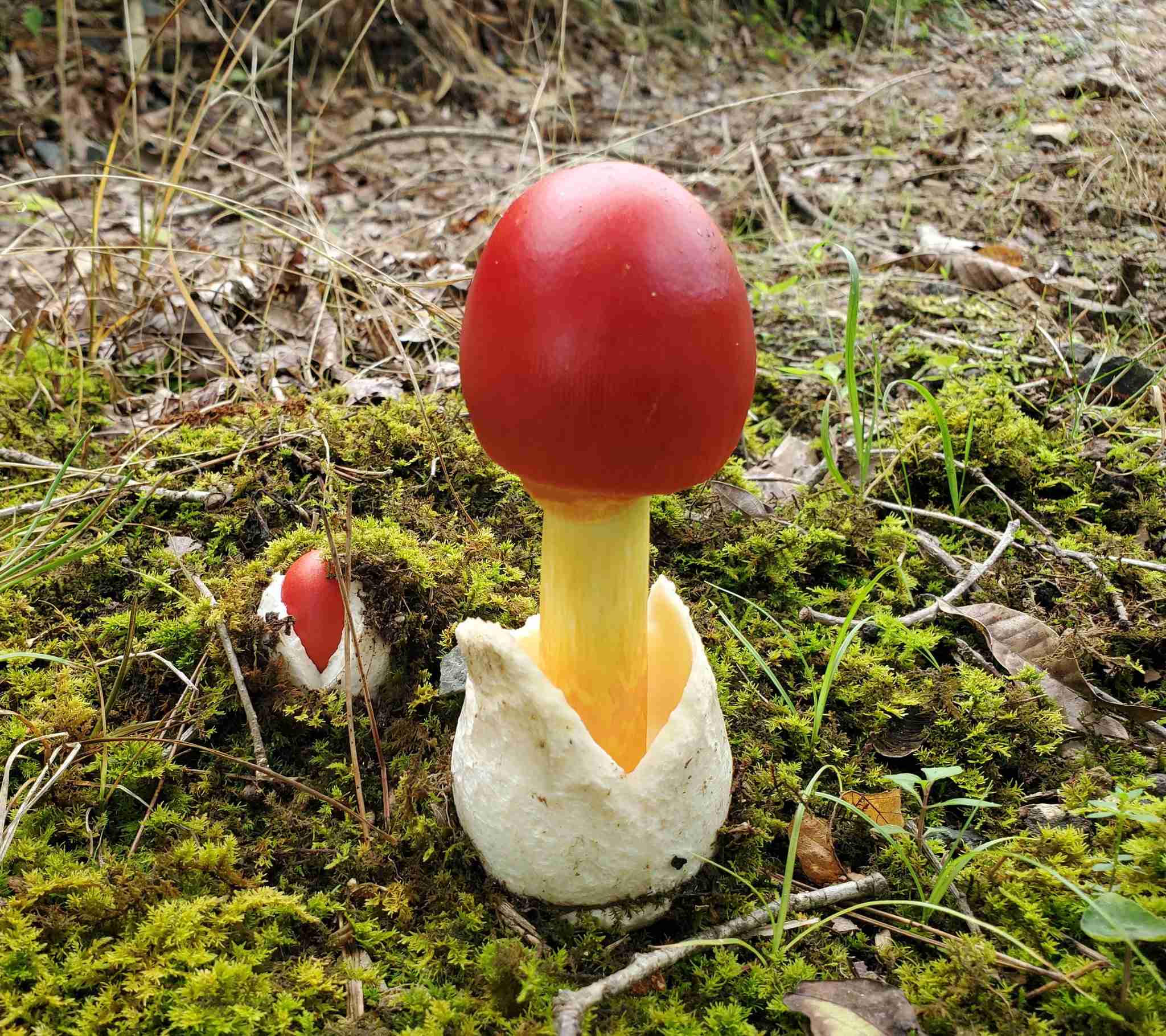 市川海老蔵　父の日に子供達から麻央さん手描きのカード「なんて素敵な贈り物」「泣けます」「字もお綺麗」