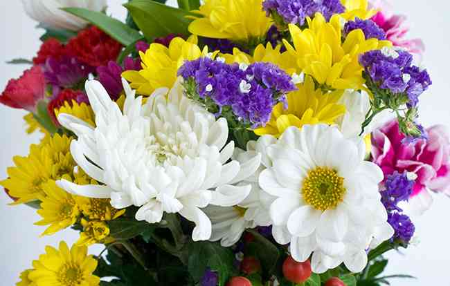 肩パットブームは再来すると思いますか?