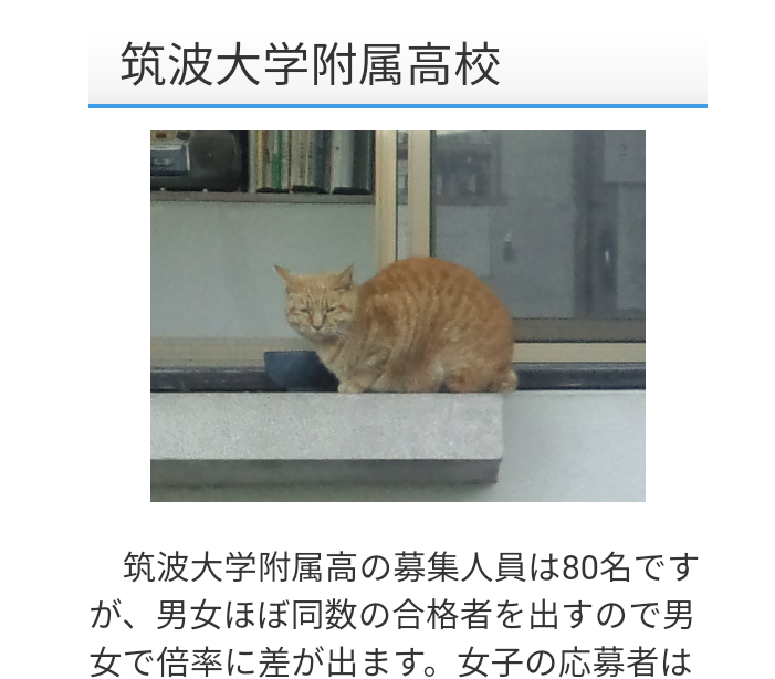 肩パットブームは再来すると思いますか?