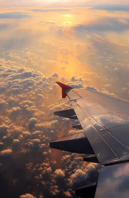 飛行機苦手な人
