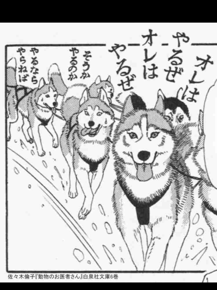 懐かしの少女漫画を挙げて、読んだことある人が何かコメントを返してくれるトピ Part3