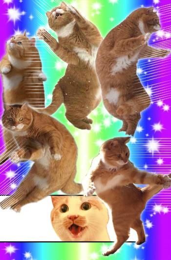 【何の意味がある?】決めポーズが集まるトピ