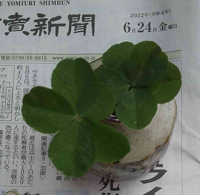 米津玄師、『GINZA』で女性ファッション誌初表紙 12ページの特集で多角的に紹介