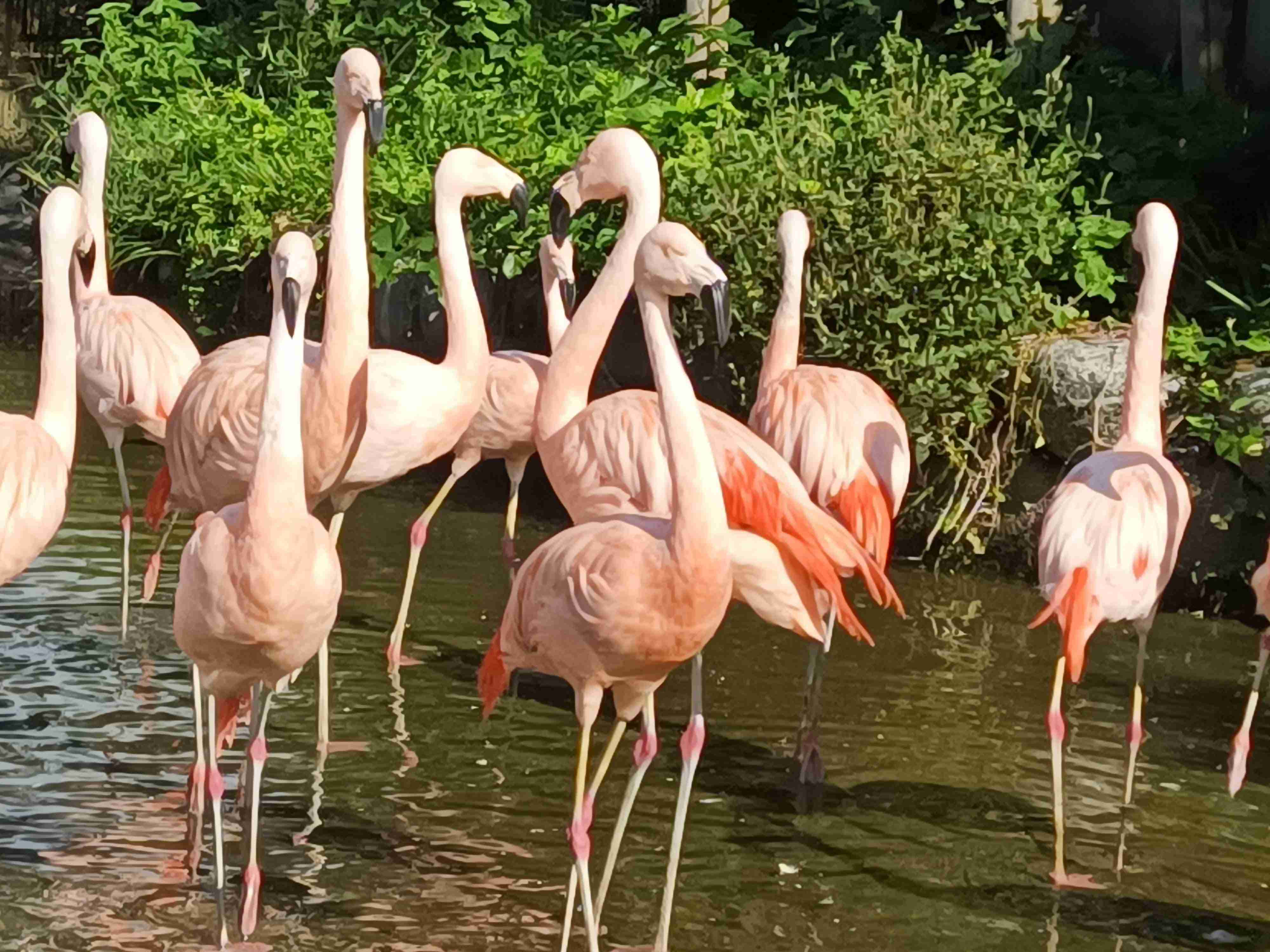 米津玄師、『GINZA』で女性ファッション誌初表紙 12ページの特集で多角的に紹介